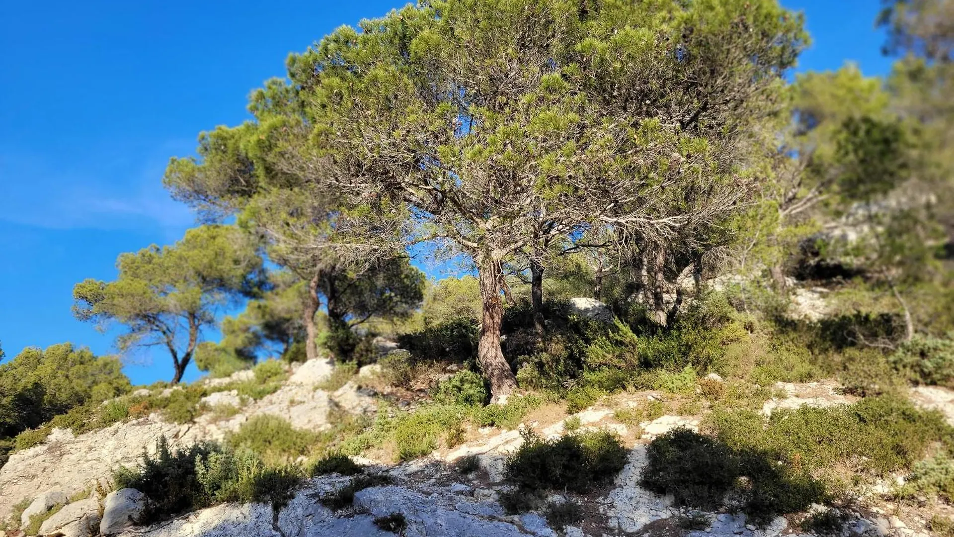 Gite Chrysalide Du Luberon Cheval-Blanc