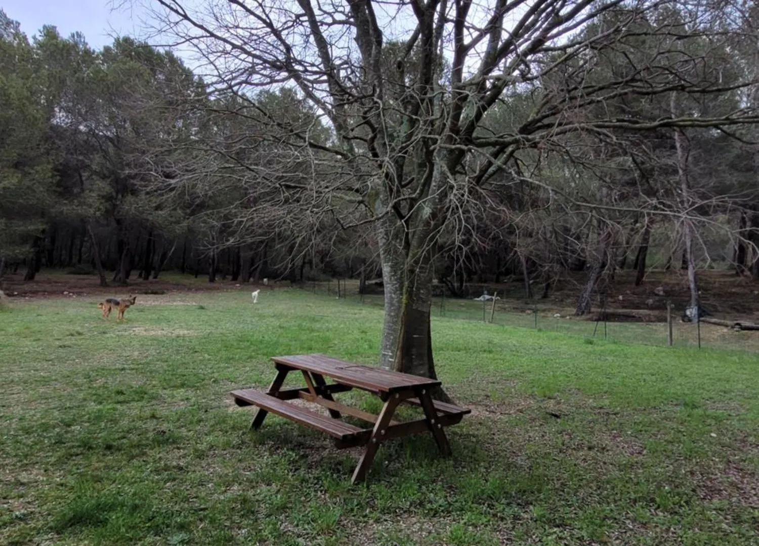 Holiday home Gite Chrysalide Du Luberon Cheval-Blanc