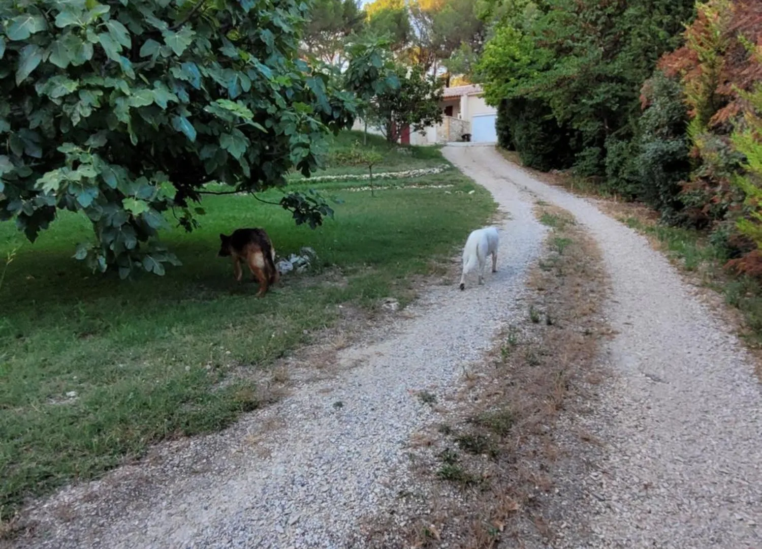 Gite Chrysalide Du Luberon Cheval-Blanc
